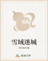 雪域迷城